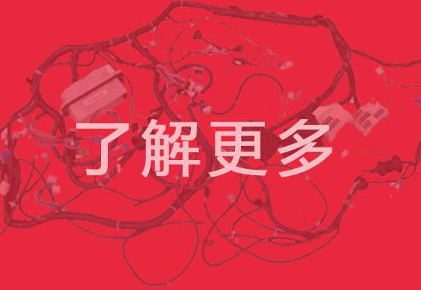 岳阳J9集团国际站线束MES系统